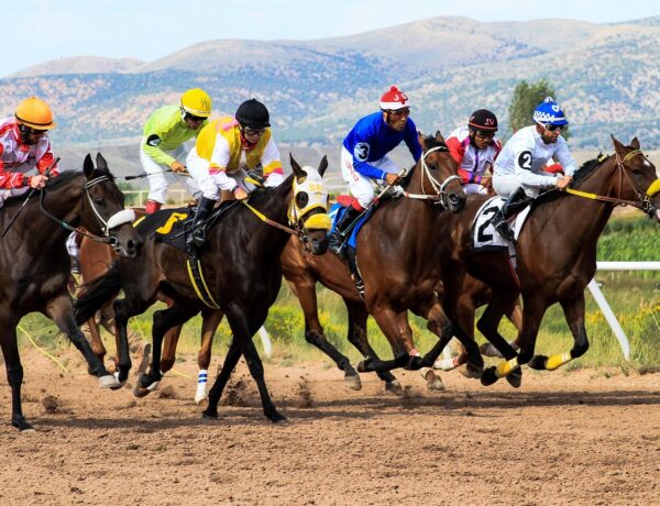sports betting