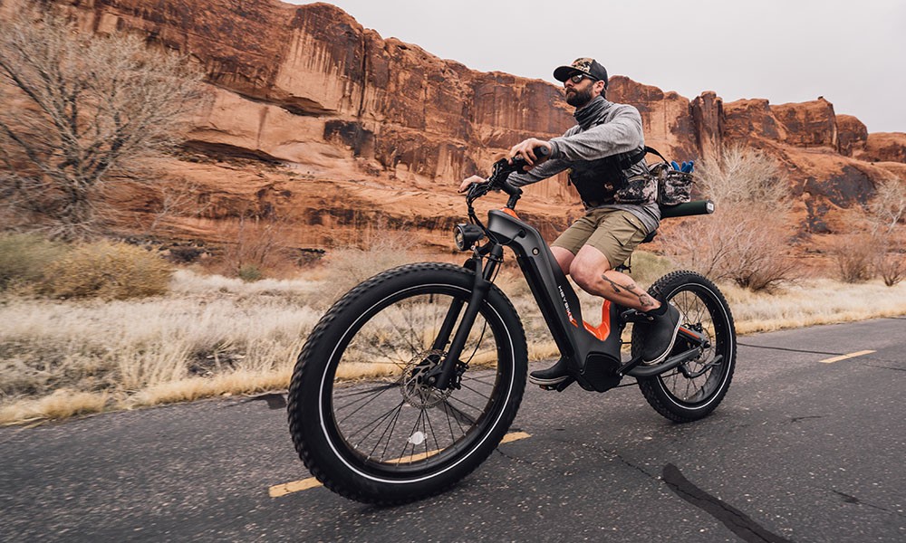 e-bikes