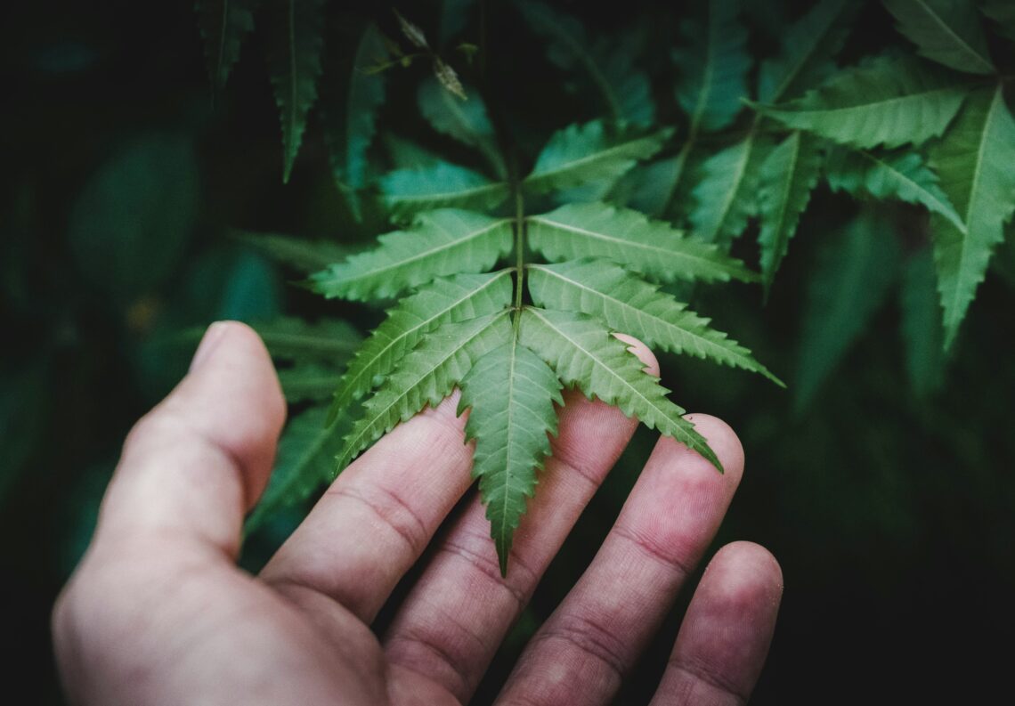 Read more lifestyle articles at ClichéMag.com Images provided by Deposit Photos, BingAI, Adobe Stock, Unsplash, Pexels, Pixabay & Creative Commons
