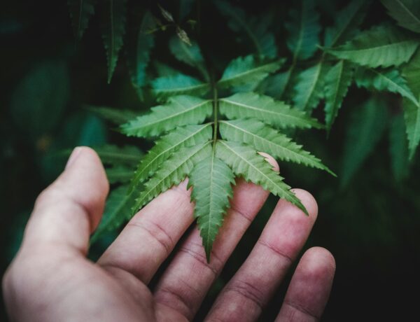 Read more lifestyle articles at ClichéMag.com Images provided by Deposit Photos, BingAI, Adobe Stock, Unsplash, Pexels, Pixabay & Creative Commons