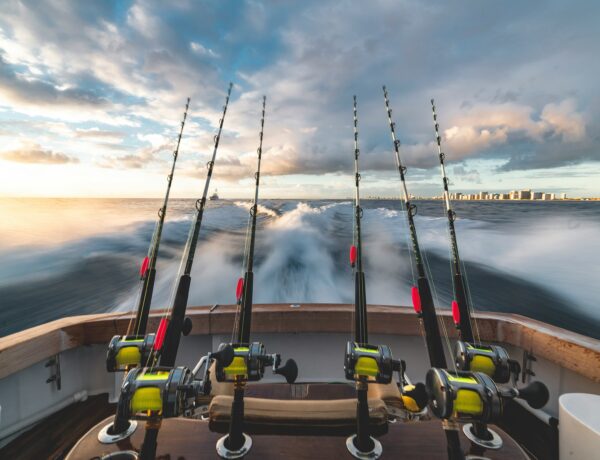 inshore fishing charters
