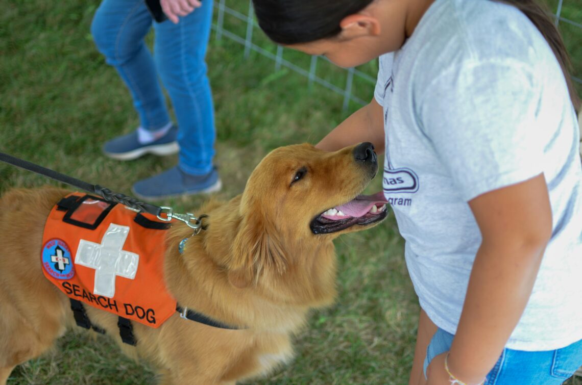 first aid certification for pet sitters