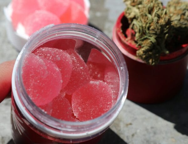 cannabis edibles
