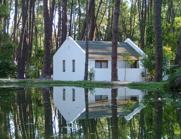 Protect Your Property from Floods