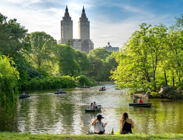 Experience New York Like a Local
