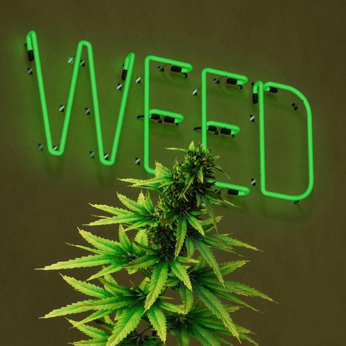 same-day weed delivery services