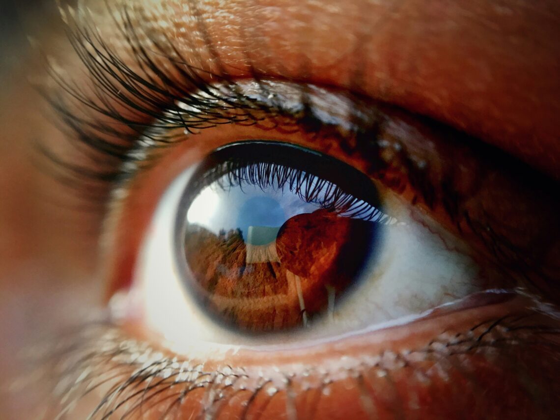 Grow Your Eyelashes Back