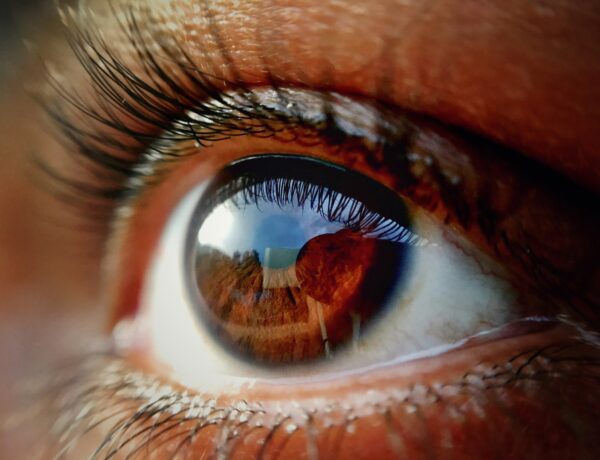 Grow Your Eyelashes Back
