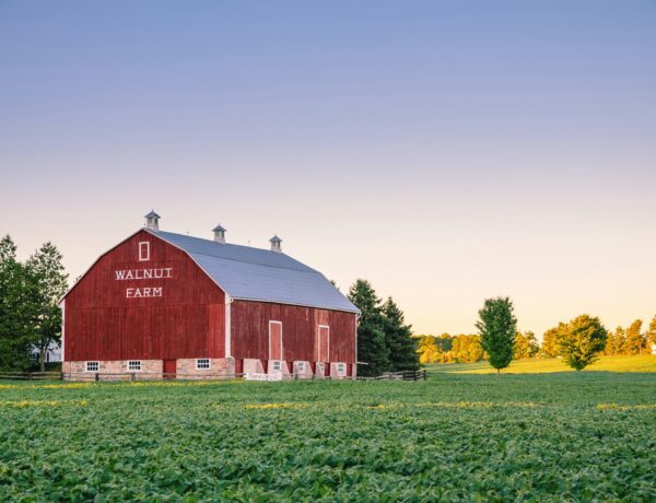 Boost Efficiency on Large Farms