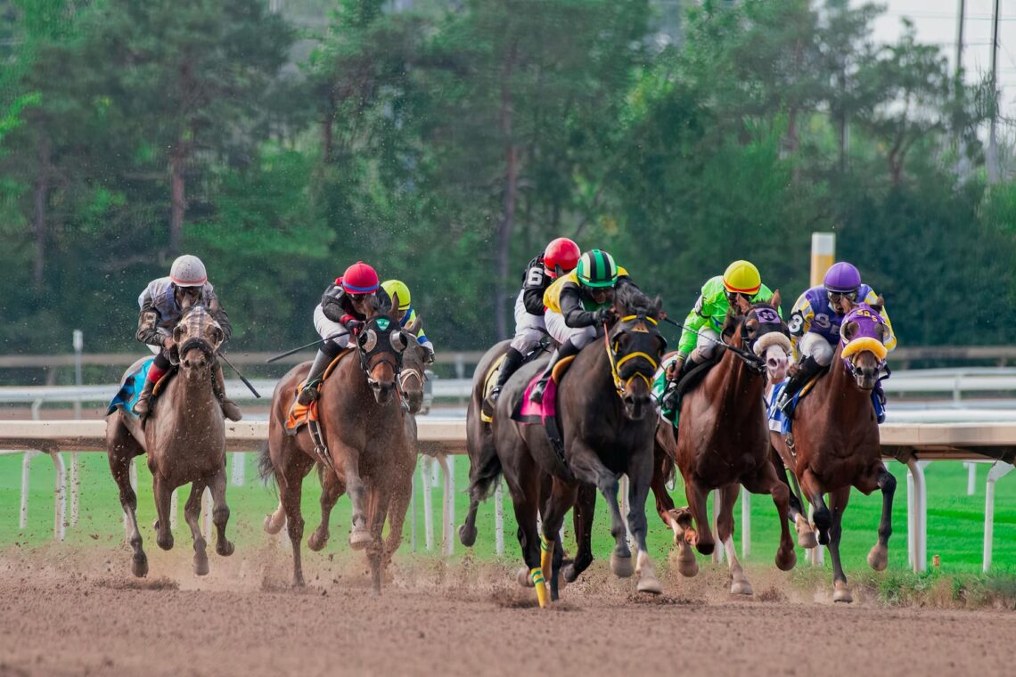 2026 Belmont Stakes