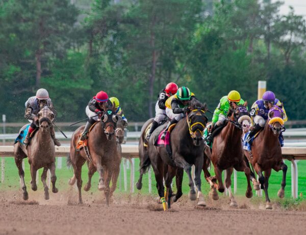 2026 Belmont Stakes