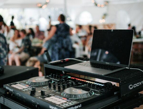 professional djs