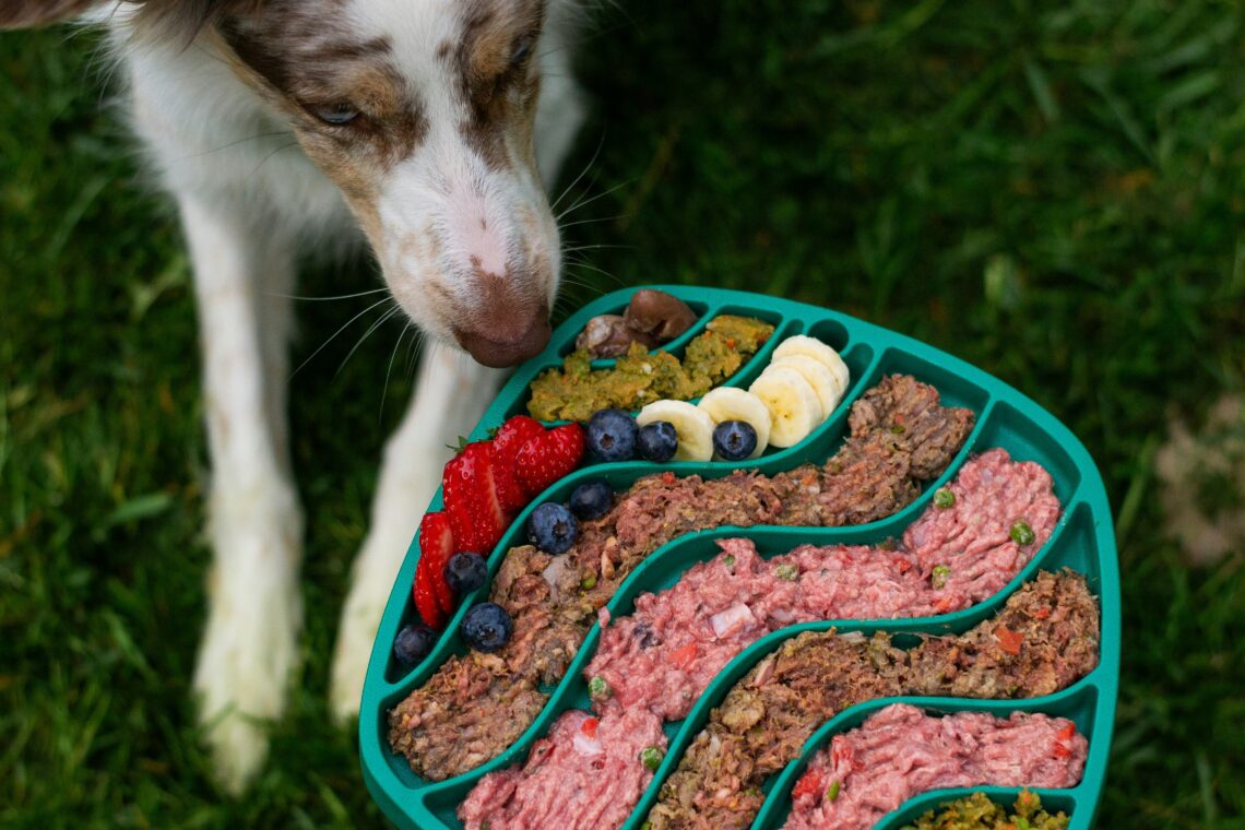 raw pets foods