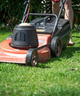 Secrets To Maintaining A Beautiful Lawn