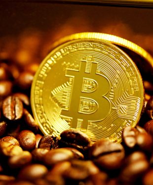 A Bitcoin stands propped up on coffee beans.