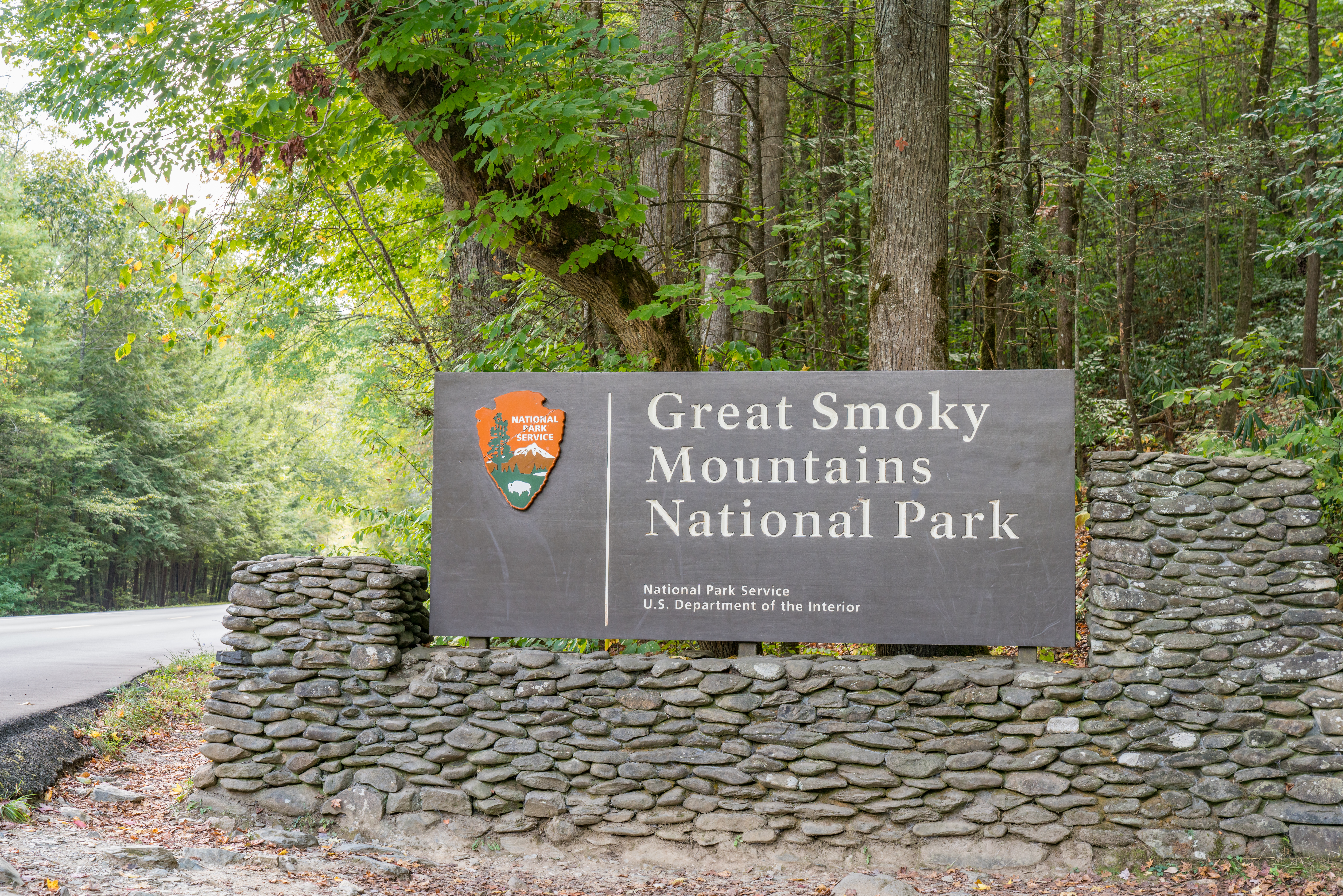 Seven Things you must do in the Smokies if you're with Kids - Vimarsana News