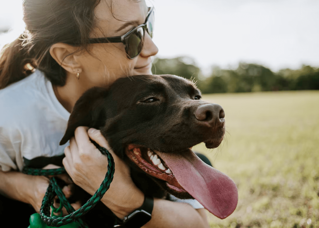 Ways Pets Improve Our Mental Health