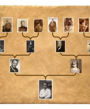 Nobility in Your Family Tree
