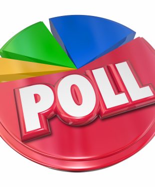 Poll Survey Results Voting