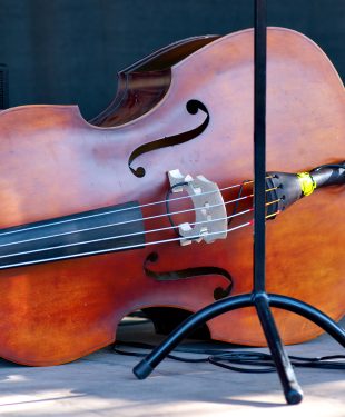 evolution of the double bass