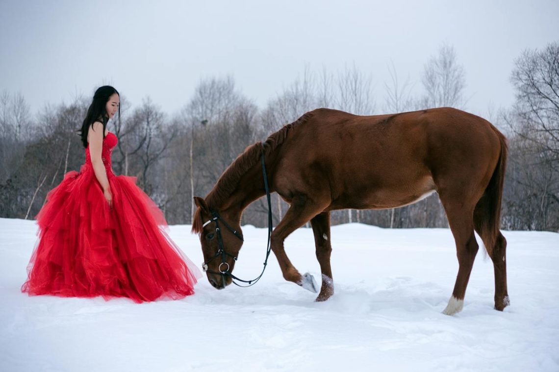 Horse Couture