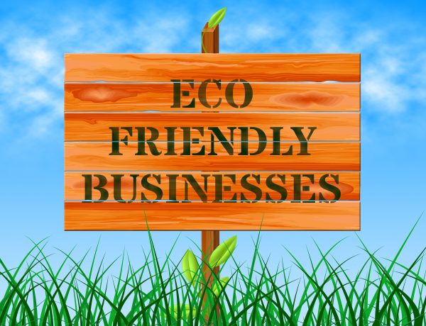 Top Eco-Friendly Businesses
