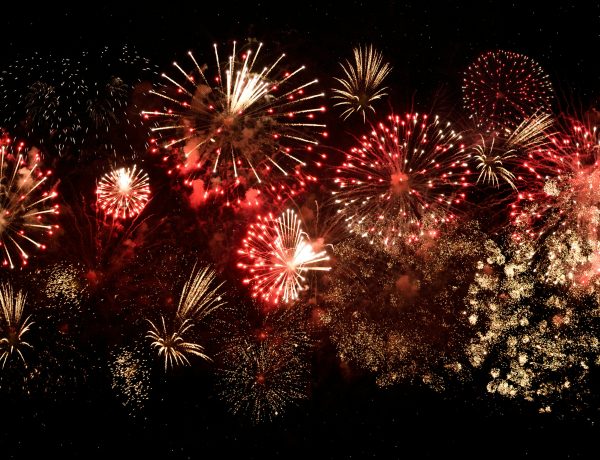 Keep Your Dog Happy and Calm During Fireworks