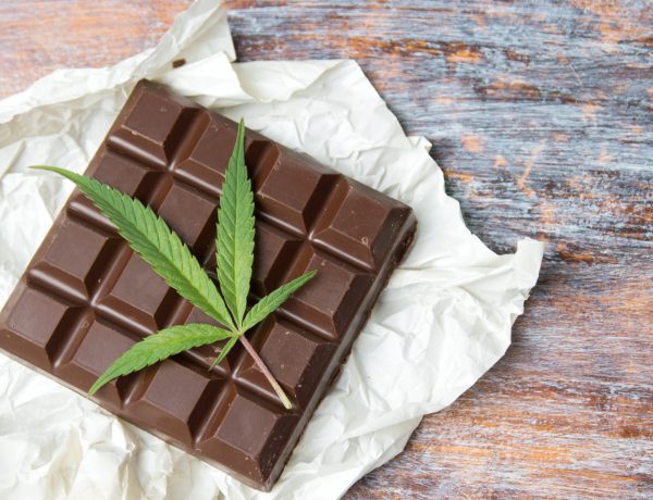 Cannabis Chocolate for Medical Use