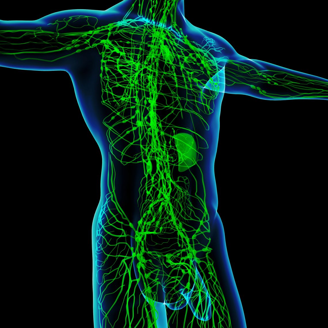 Lymphatic System Malformations