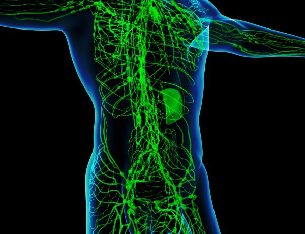 Lymphatic System Malformations
