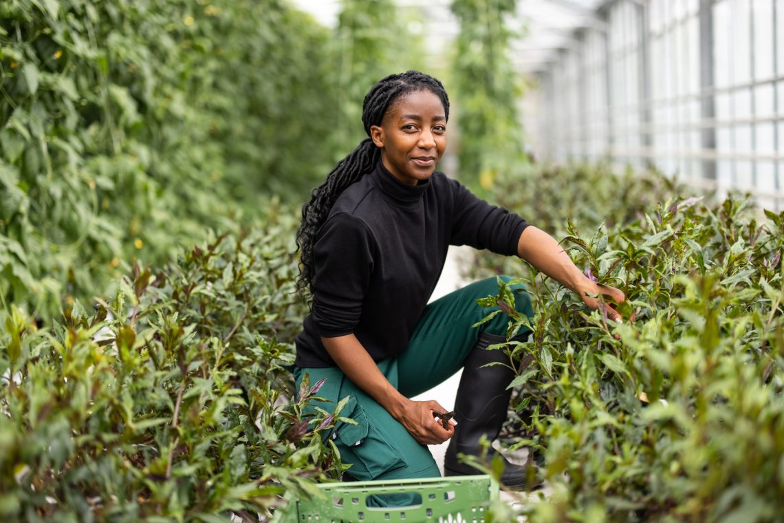 Biden Administration To Pay .2B To Black Farmers Who Had Been Discriminated Against By The US Department Of Agriculture