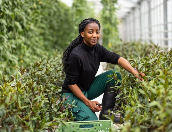 Biden Administration To Pay .2B To Black Farmers Who Had Been Discriminated Against By The US Department Of Agriculture