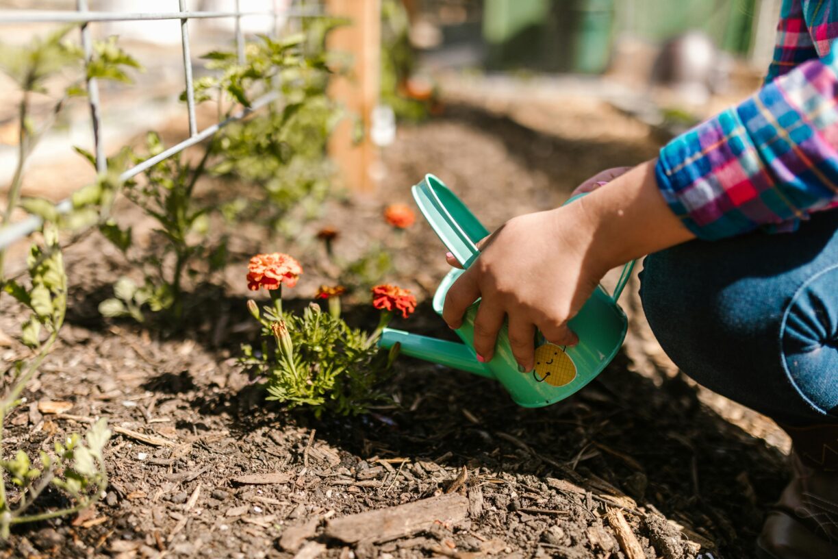 gardening mistakes