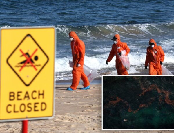 Australian scientists reveal mysterious black balls on Sydney beaches are mini blobs of poop