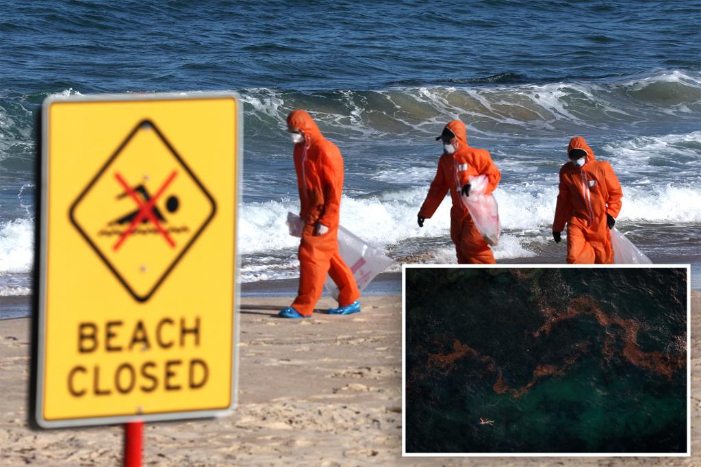 Australian scientists reveal mysterious black balls on Sydney beaches are mini blobs of poop