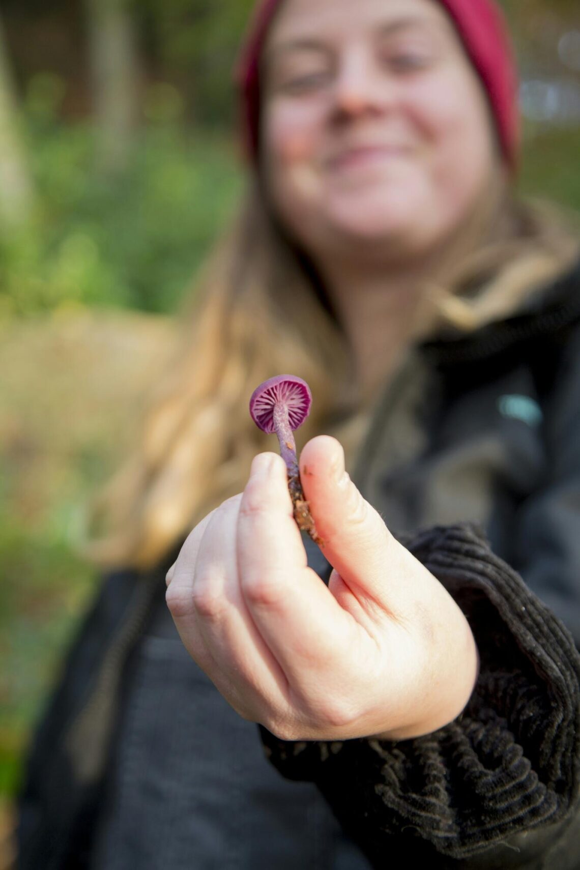 Getting Started with Wild Edibles: A Beginner’s Forage Journey