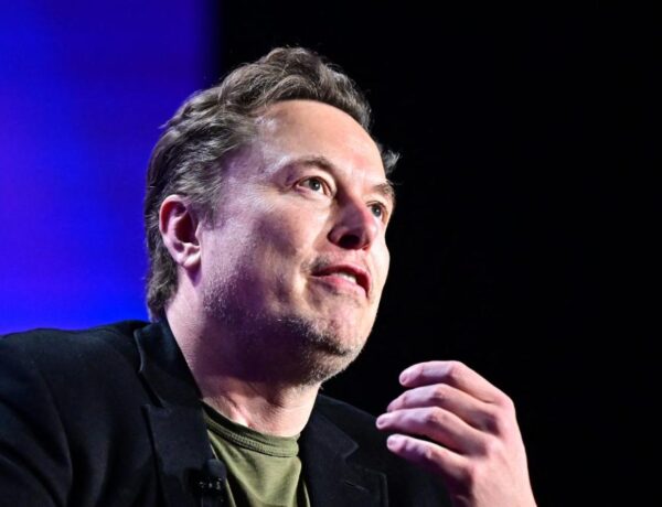 Musk, Vivek face target-rich environment for wacky regs and waste