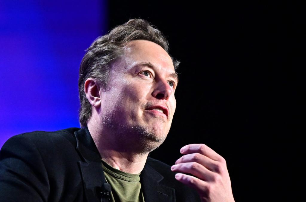 Musk, Vivek face target-rich environment for wacky regs and waste