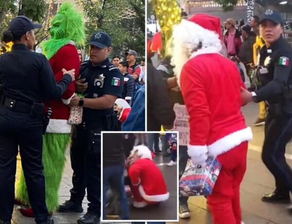 Santa Claus and Grinch street performers arrested after fighting over tips