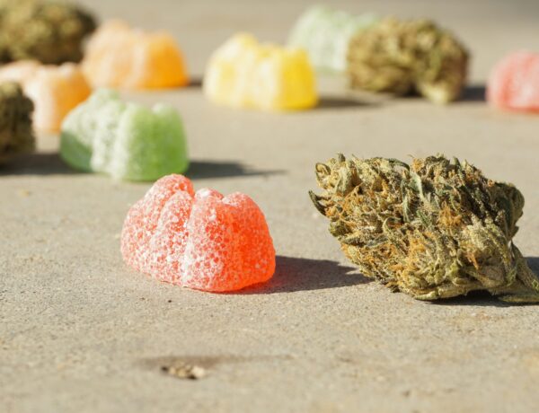 Legal Considerations When Buying Delta 9 Gummies