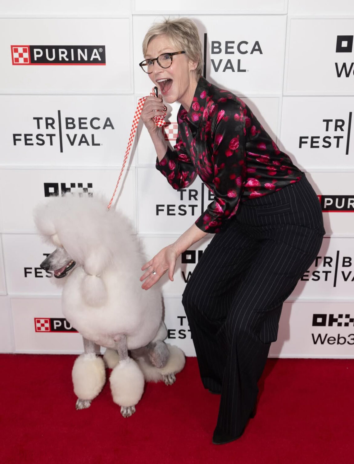 Jane Lynch is One Lucky Dog Commemorating the 25th Anniversary of “Best in Show”