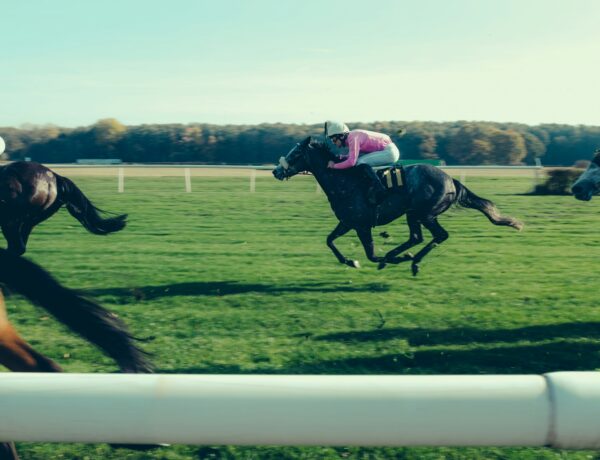 Understanding The Impact Of Jockey Skills Vs. Horse Ability In Racing