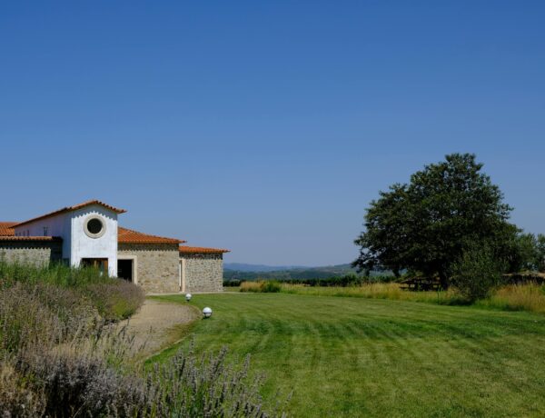 Portugal’s Design Revolution: Why Style-Conscious Buyers Are Choosing Iberian Charm