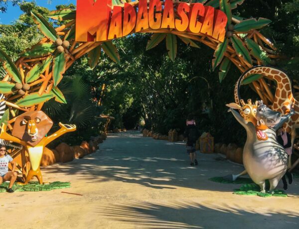 The Ultimate Guide to Madagascar Safaris