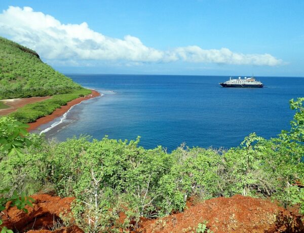 How to Prepare for a Galapagos Cruise: Essential Tips