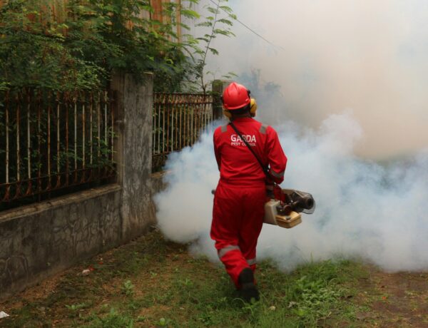 Heat vs. Chemical: The Superior Choice for London Pest Control