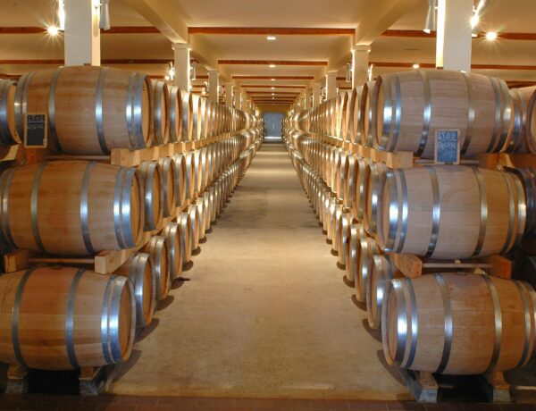 Top 7 Things to Do in Sonoma for First-Time Visitors