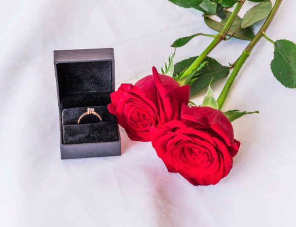 12 Best Places to Buy Lab-Grown Engagement Rings in 2026