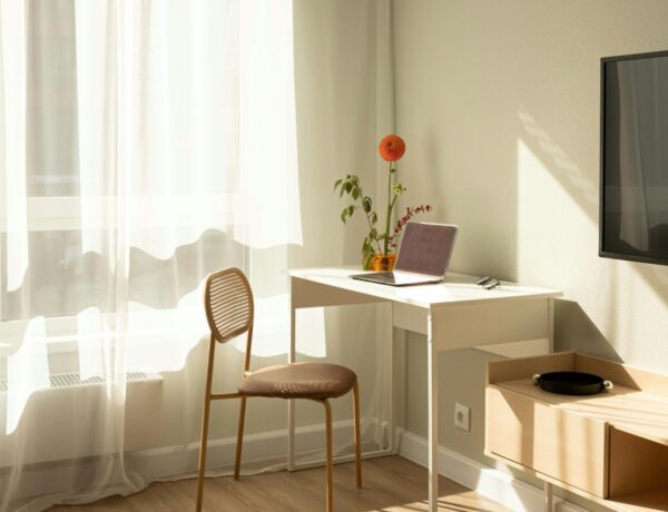 How to Evaluate Natural Light in Every Room Before Signing a Lease