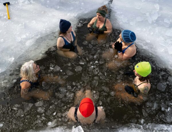 Sauna vs Cold Plunge vs Both: Which Home Recovery Tool Is Right for Your Lifestyle?